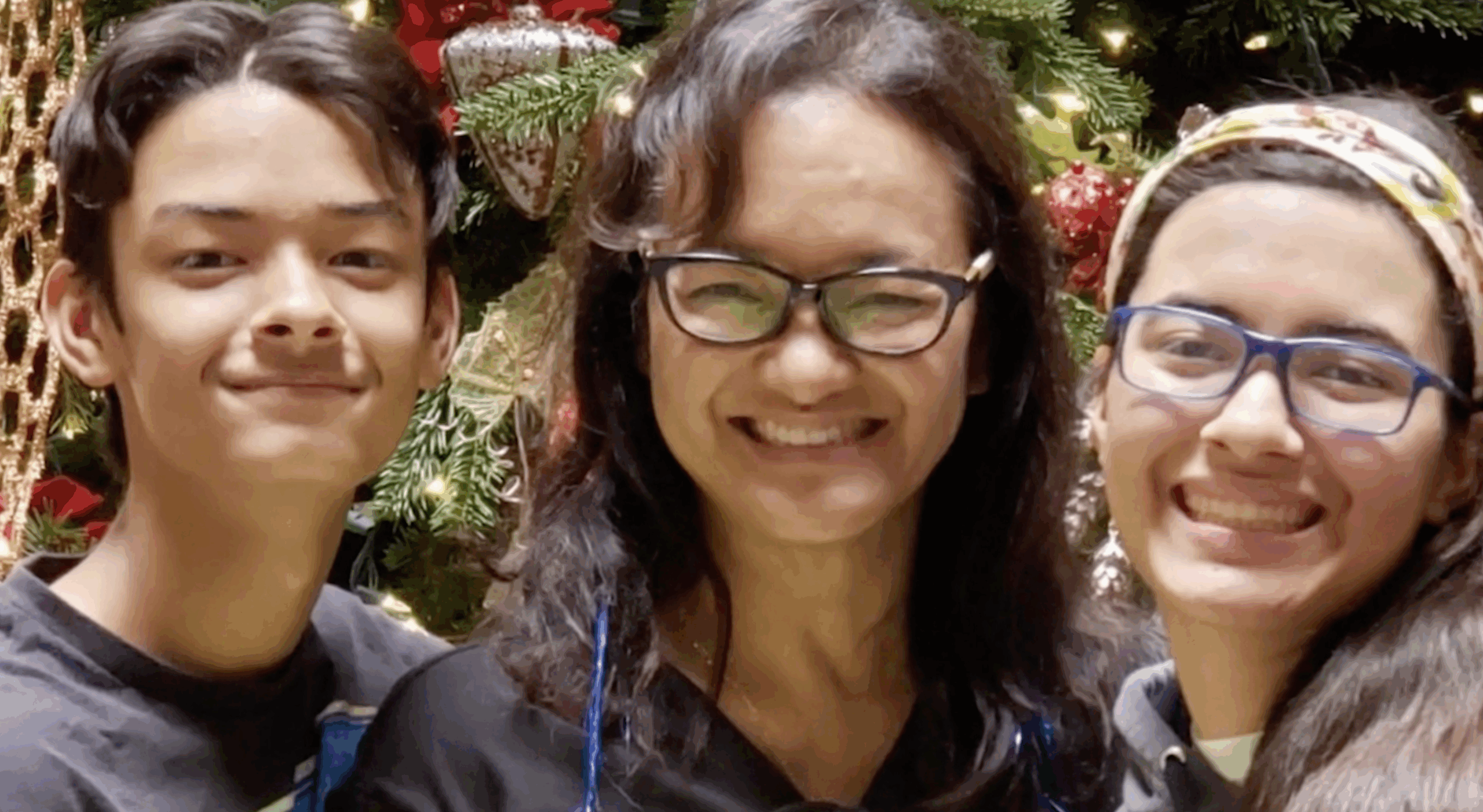 Meirowitz & Wasserberg – Kim Mandril Mesophilioma